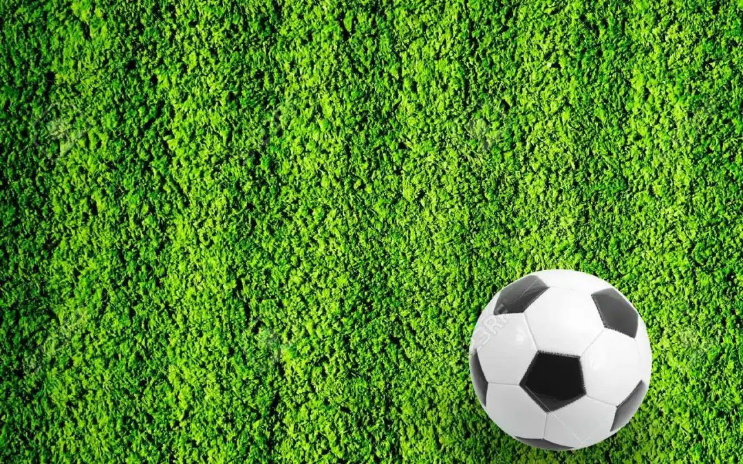 Coupe de France de football